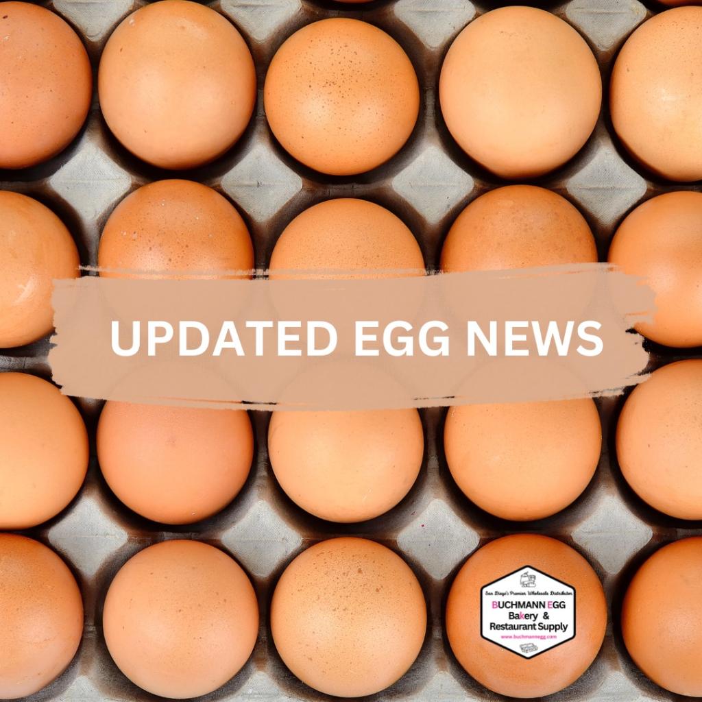 Egg Update