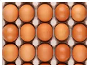 Eggs & Dairy