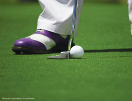Elevate Your Outdoor Space with Weather-Resistant Putting Greens