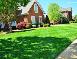 Transform Your Yard: Low-Maintenance Synthetic Lawns for Summer