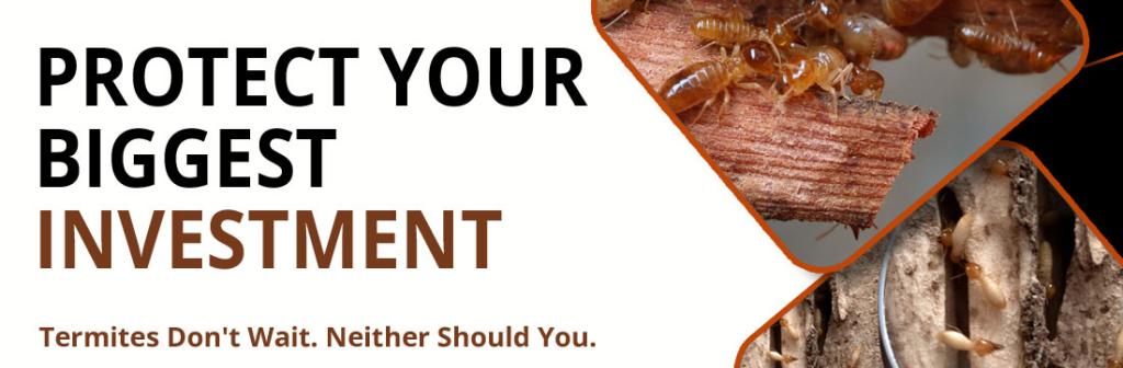 Protect Your Biggest Investment