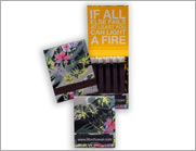 Matchbook 20 Light